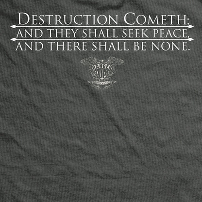 PREORDER Destruction Cometh Vintage-Fit T-Shirt