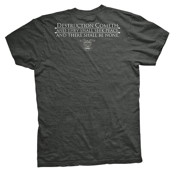 PREORDER Destruction Cometh Vintage-Fit T-Shirt