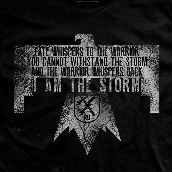 I am outlet the storm sweatshirt