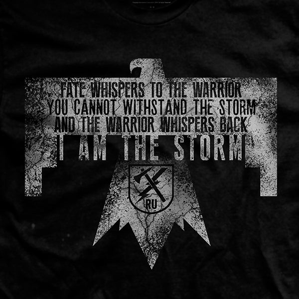 I am the Storm T-Shirt