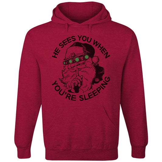 He Sees You When You're Sleeping Hoodie